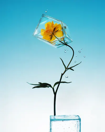 Work by Dina Belenko, selected by Artells