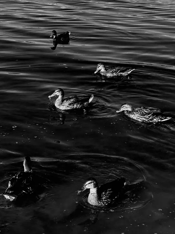 Photo by Kristina Lysenko