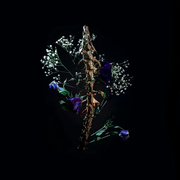 Portfolio work