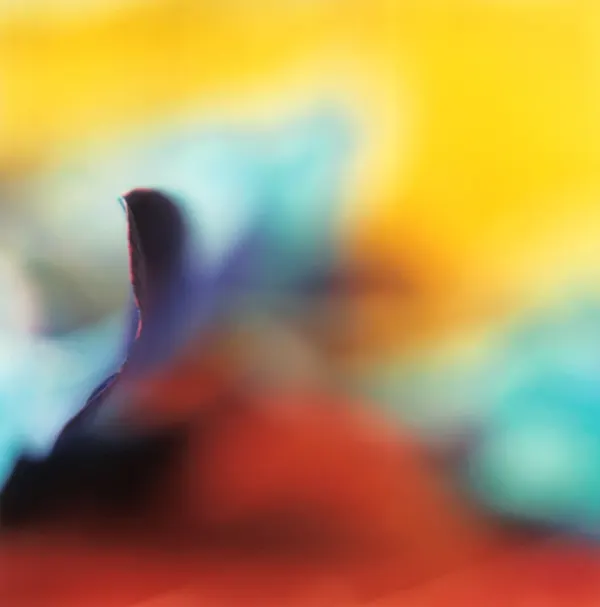 Portfolio work