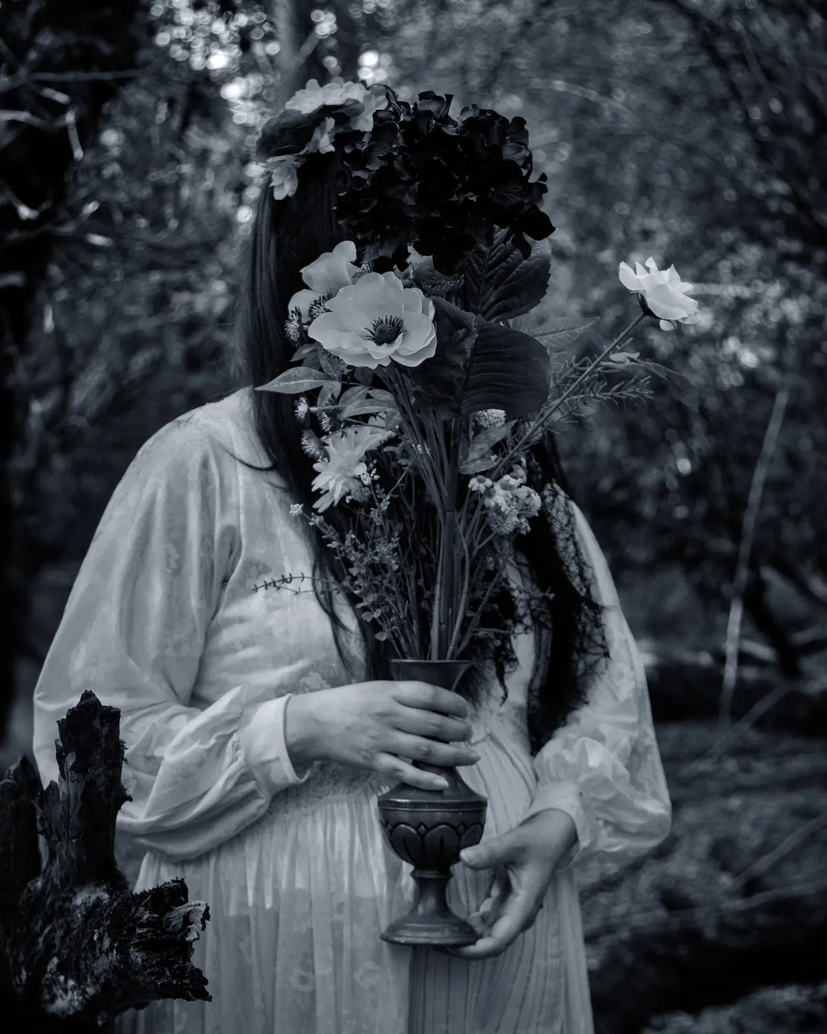Work by Carlotta Pulcini