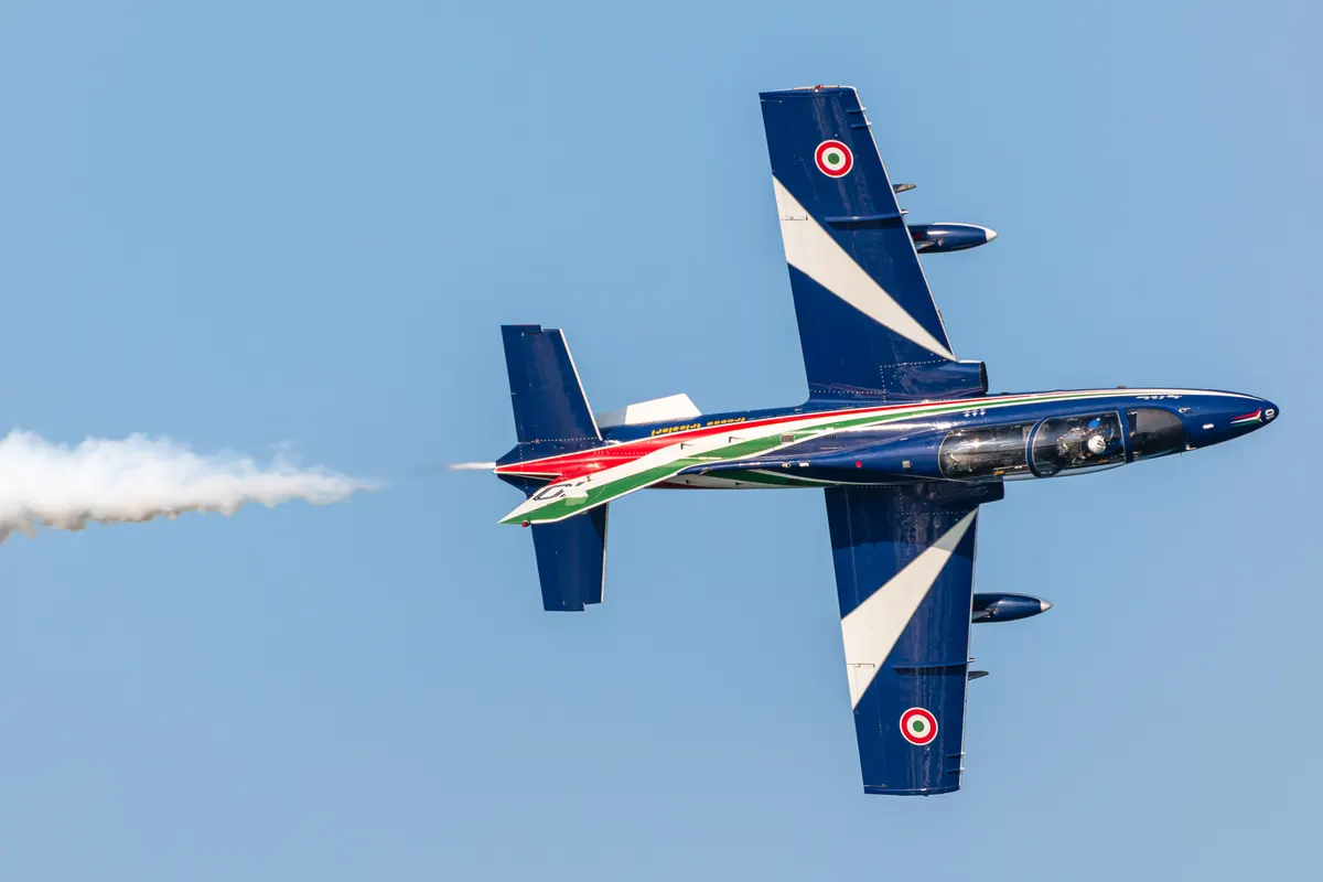 The Art of Spotting, photo 3 by alessandro pandolfi