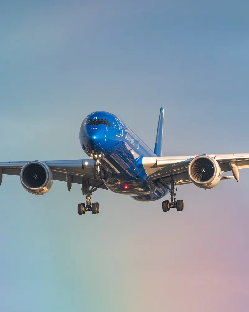 The Art of Spotting, photo 4 by alessandro pandolfi