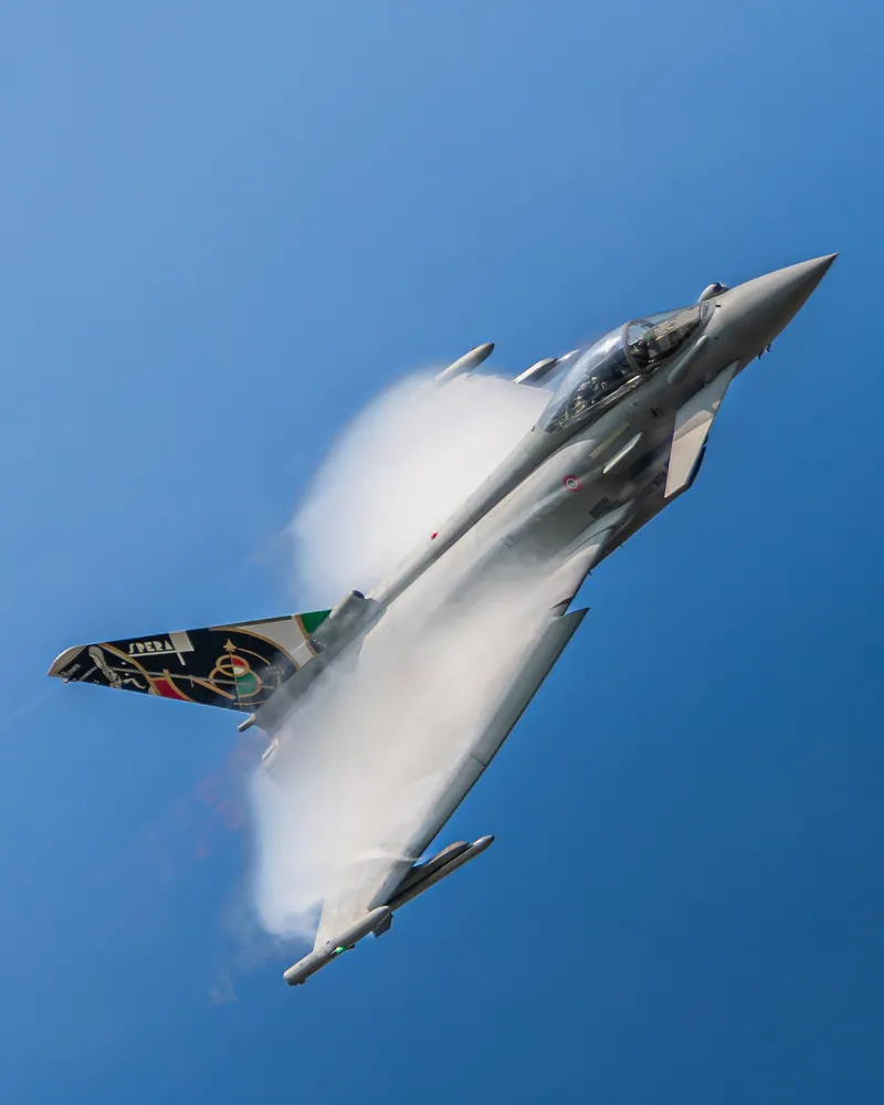 The Art of Spotting, photo 2 by alessandro pandolfi