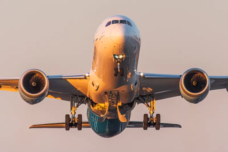 The Art of Spotting, photo 5 by alessandro pandolfi